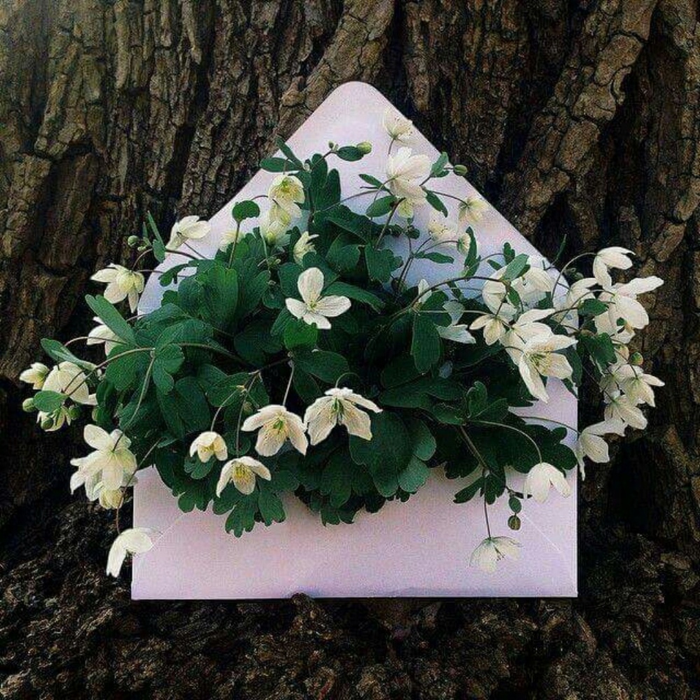 Meet your Posher, K.d